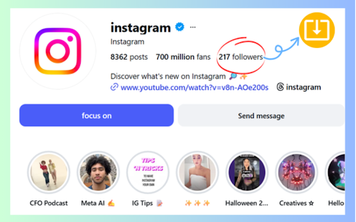 IGTools – IG Followers Export Tool screenshot