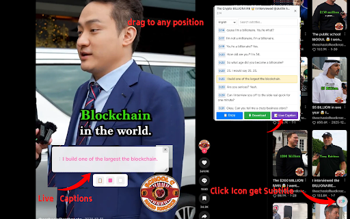 TikTok Subtitle Extractor & Caption Downloader screenshot