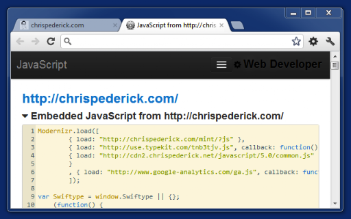 Web Developer screenshot