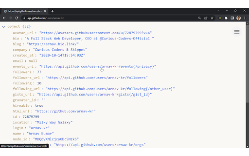 JSON Formatter screenshot