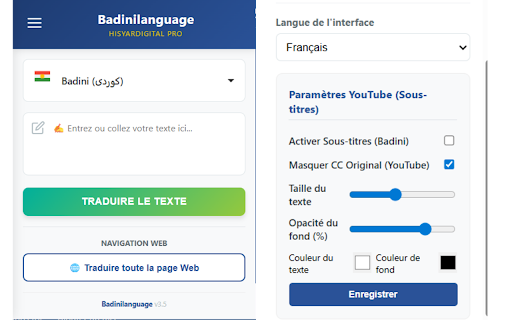 Badinilanguage - Traducteur Web & YouTube screenshot