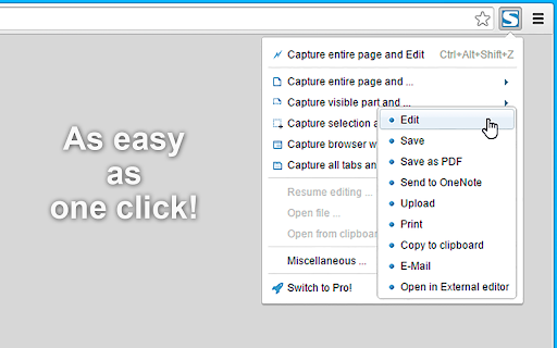 Take Webpage Screenshots Entirely - FireShot screenshot