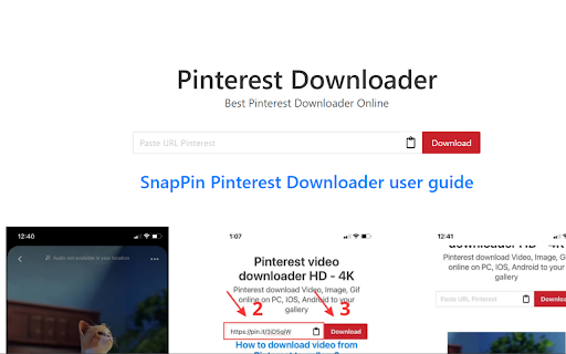 Pinterest Video Downloader screenshot