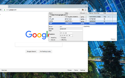 CookieManager - Cookie Editor screenshot
