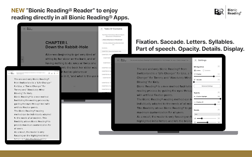 Bionic Reading screenshot