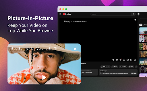 Floating Video Player – Picture-in-Picture screenshot