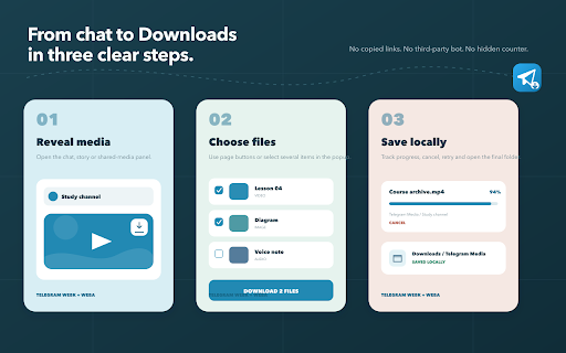 Telegram Media Downloader & Batch Saver screenshot