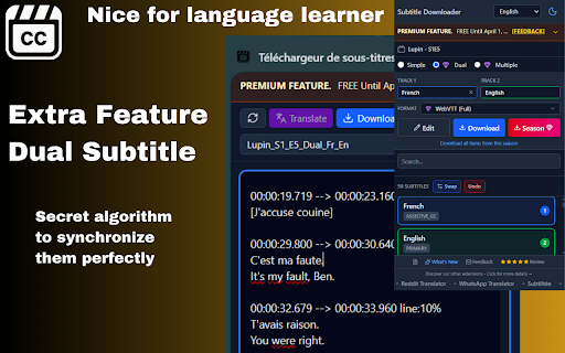 Subtitle Downloader: YouTube Netflix Disney+ Max Apple TV & Any Site screenshot