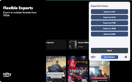 T-FYP Scraper: Export Videos, Comments, Profiles & More screenshot