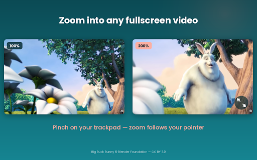 Fullscreen Video Zoom screenshot