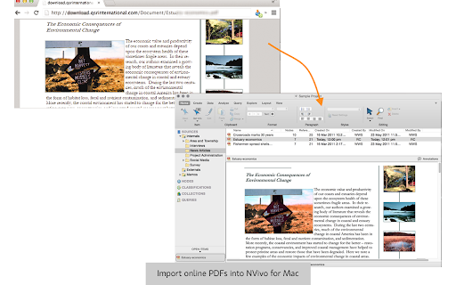 NCapture screenshot