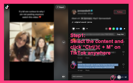Chat Assistant For TT screenshot