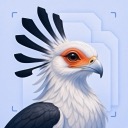 Claude Design PNG Exporter, Batch Page Export, Save PNGs & Project ZIP File icon