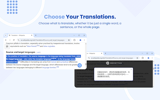 Website Translator screenshot