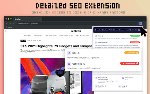 Detailed SEO Extension screenshot