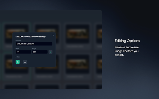 AVIF Export screenshot