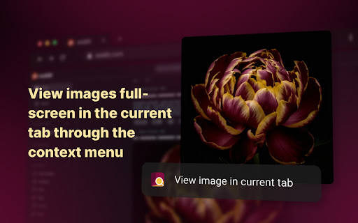 Enhanced Image Viewer screenshot