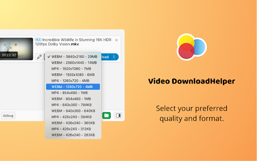 Video DownloadHelper screenshot