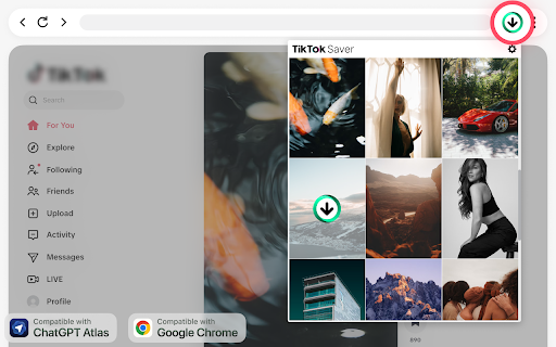 TikTok Video Downloader — Save Videos screenshot