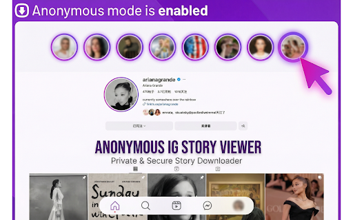 IG Story Viewer - Anonymous IG Story Viewer screenshot