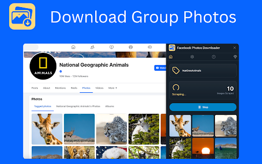 Photos Downloader screenshot