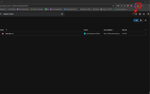 Requestly screenshot