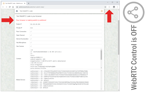 WebRTC Control screenshot