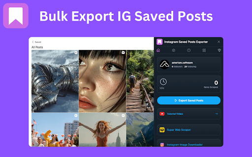 Saved Posts Exporter screenshot