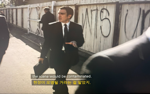 My Own Subtitles screenshot
