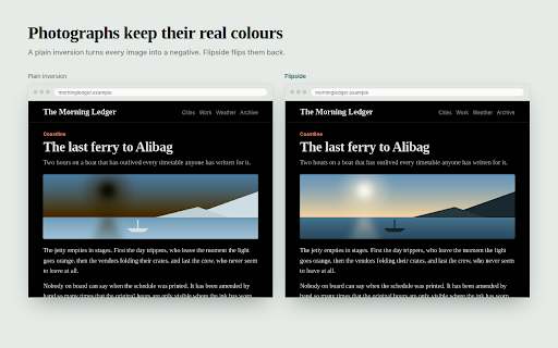 Flipside — Page Colour Inverter screenshot