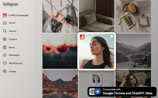 Instagram Downloader for Atlas Browser screenshot
