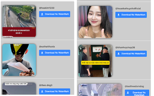 ssstik - Tik Tok Downloader screenshot