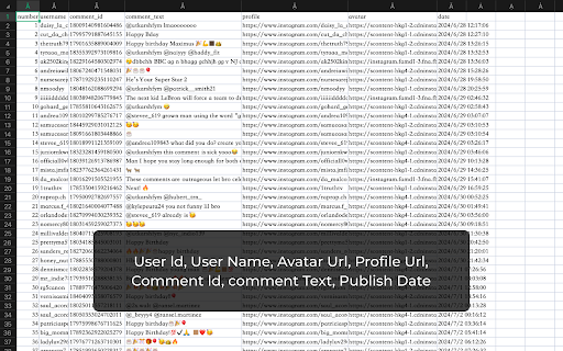 IG Comments Exporter screenshot