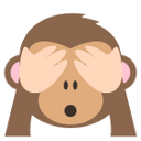ShowPassword icon