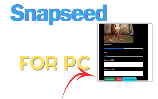 Snapseed for Pc,Windows and Mac (Free Download) screenshot