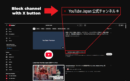 YouTube Channel Blocker screenshot