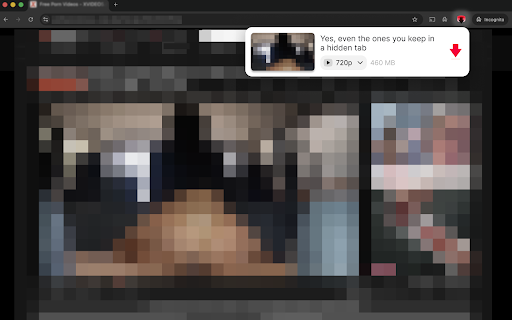 Downloader for You screenshot