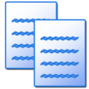 Duplicate Tab Shortcut icon