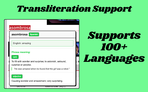 TransliDict - Instant Word Lookup & Translation screenshot