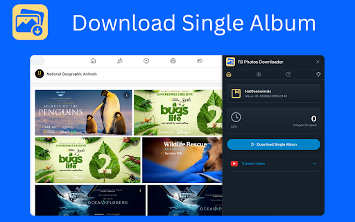 Photos Downloader screenshot