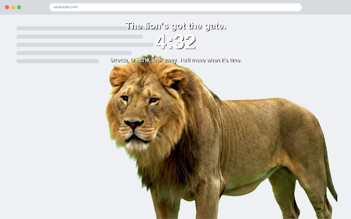 Lion Gatekeeper screenshot