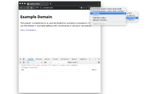 CORS Unblock screenshot