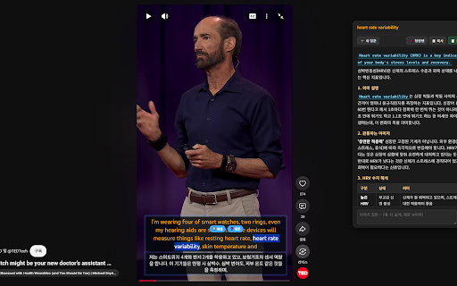 Dual Subtitle for YouTube screenshot