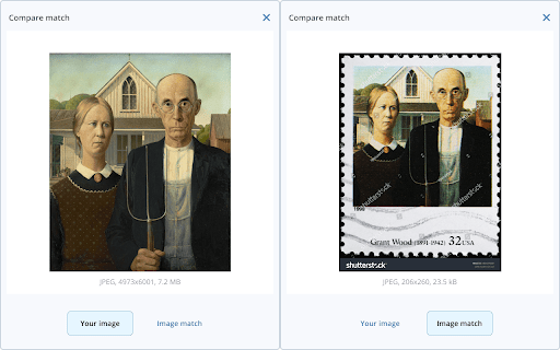 TinEye Reverse Image Search screenshot