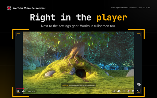 Screenshot YouTube Video Without Controls — Frame to PNG screenshot