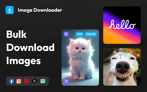 Image Downloader - Bulk Download Images screenshot