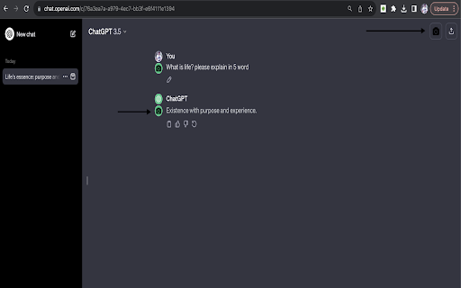 chatGPT snapshot screenshot