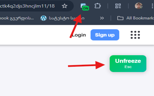 Freeze Page & Hover Inspector screenshot