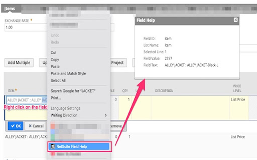 NetSuite Advanced Field Help screenshot