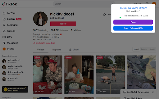 TikTok Follower Export Tool screenshot